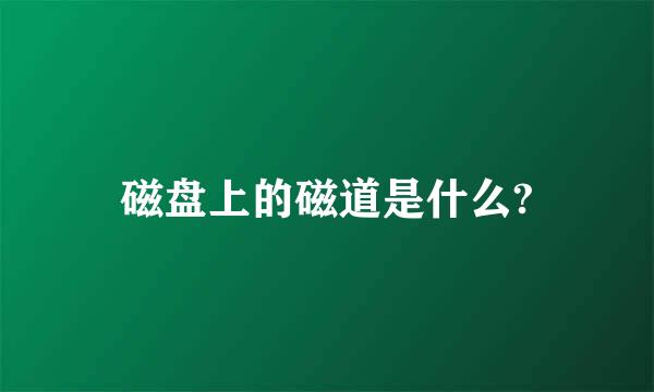 磁盘上的磁道是什么?