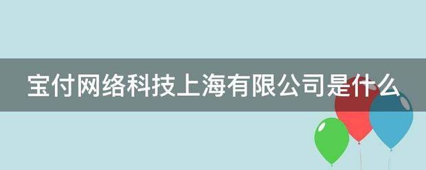 宝付网络科技上海有限公司是什么