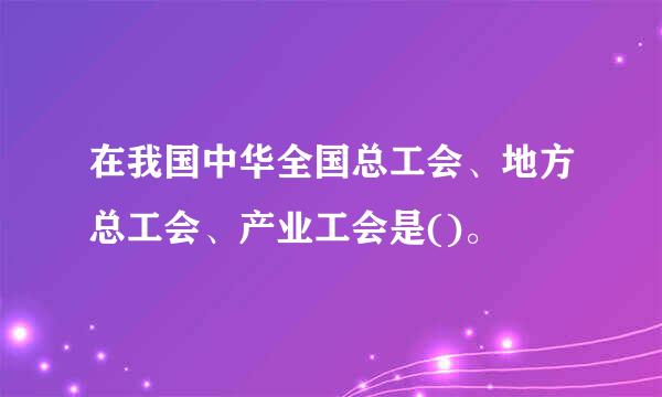 在我国中华全国总工会、地方总工会、产业工会是()。