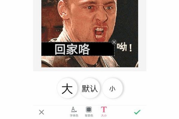 gif怎么添加文字 gif添加文字软件