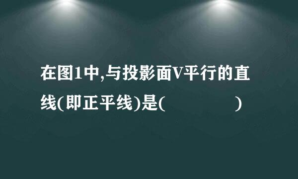 在图1中,与投影面V平行的直线(即正平线)是(    )