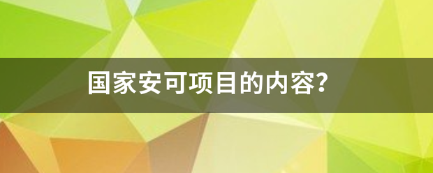 国家安可项目的内容？