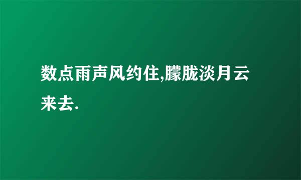 数点雨声风约住,朦胧淡月云来去.