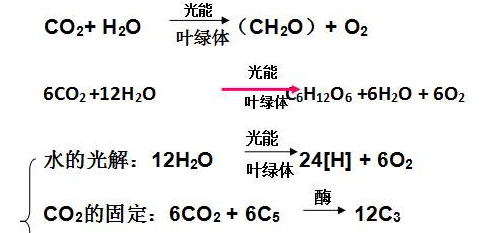 84消毒液与洁厕灵反应的完整化学方程式是什么，不是离子方程式！