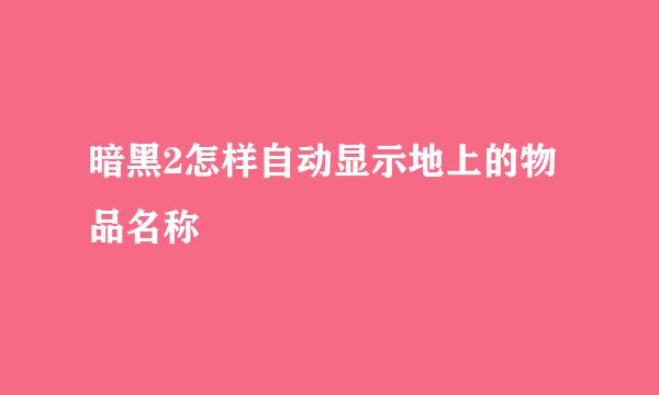 暗黑2怎样自动显示地上的物品名称