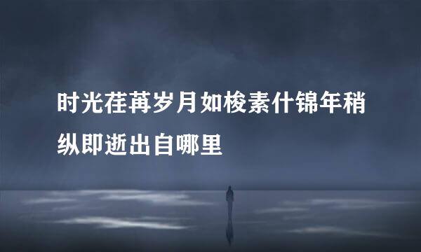 时光荏苒岁月如梭素什锦年稍纵即逝出自哪里