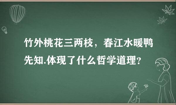 竹外桃花三两枝，春江水暖鸭先知.体现了什么哲学道理？