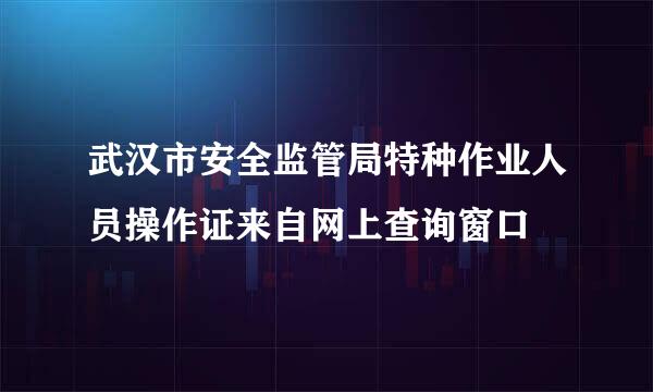 武汉市安全监管局特种作业人员操作证来自网上查询窗口