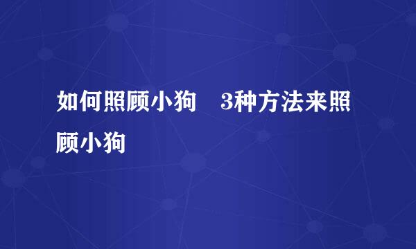 如何照顾小狗 3种方法来照顾小狗