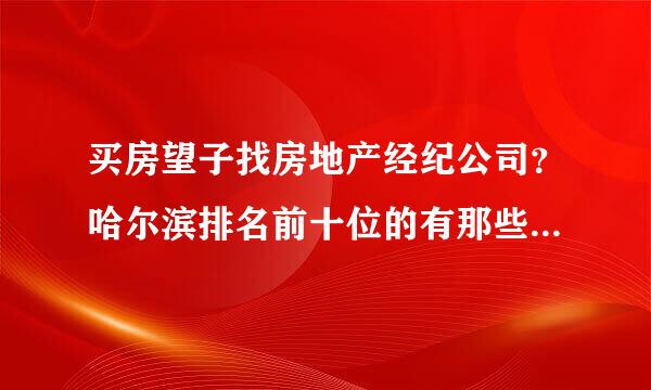 买房望子找房地产经纪公司？哈尔滨排名前十位的有那些家？急！！！