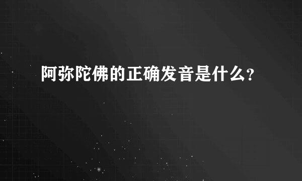 阿弥陀佛的正确发音是什么？