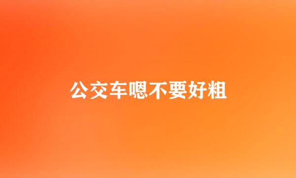 公交车嗯不要好粗