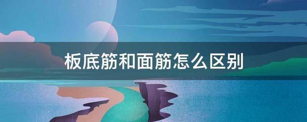 板底筋和面筋怎么区别