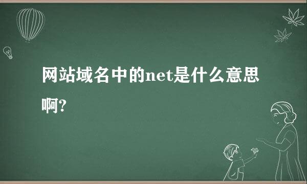 网站域名中的net是什么意思啊?