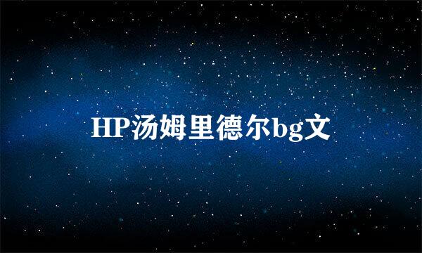 HP汤姆里德尔bg文