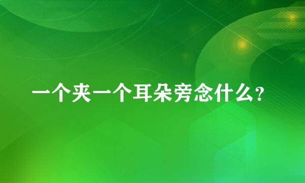 一个夹一个耳朵旁念什么？