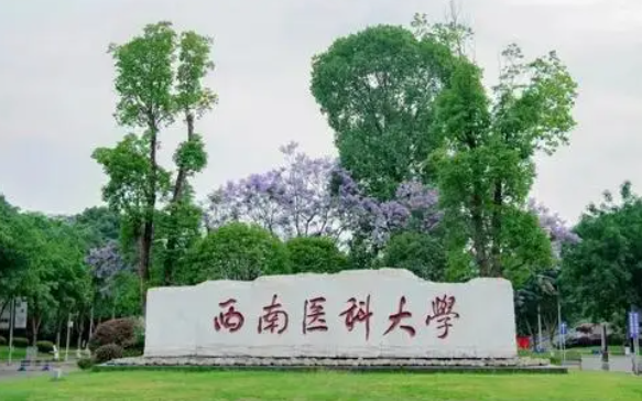 川北医学院和西南医科大学哪个好