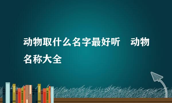 动物取什么名字最好听 动物名称大全