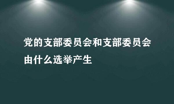 党的支部委员会和支部委员会由什么选举产生