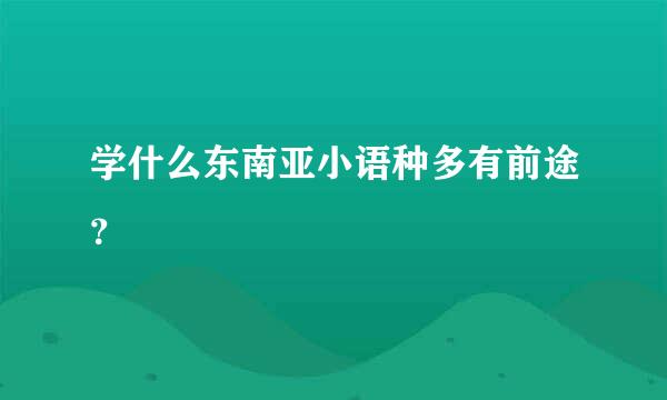 学什么东南亚小语种多有前途？