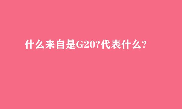 什么来自是G20?代表什么?