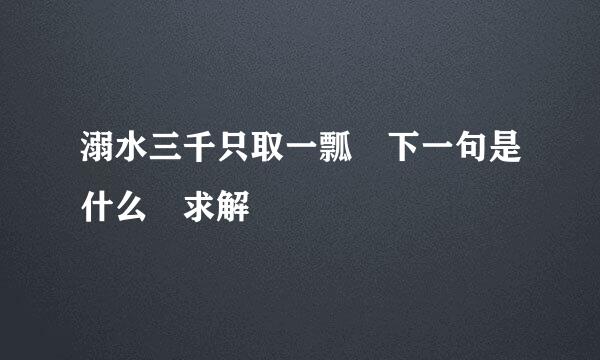 溺水三千只取一瓢 下一句是什么 求解