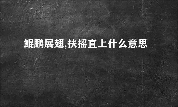 鲲鹏展翅,扶摇直上什么意思