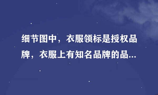 细节图中，衣服领标是授权品牌，衣服上有知名品牌的品说异济针次聚般九为牌字样，属于哪类违规？