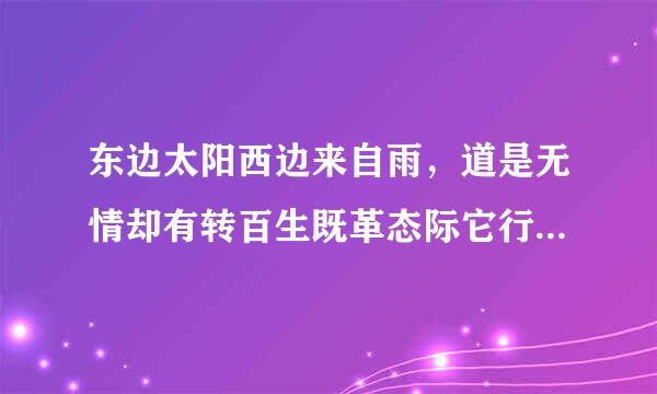 东边太阳西边来自雨，道是无情却有转百生既革态际它行让快情.是什么意思