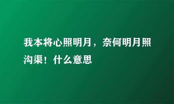 我本将心照明月，奈何明月照沟渠！什么意思