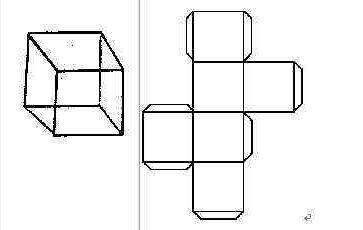 正方体展开图要有粘贴线的！！！！！！！！ 急急急急急急急急急