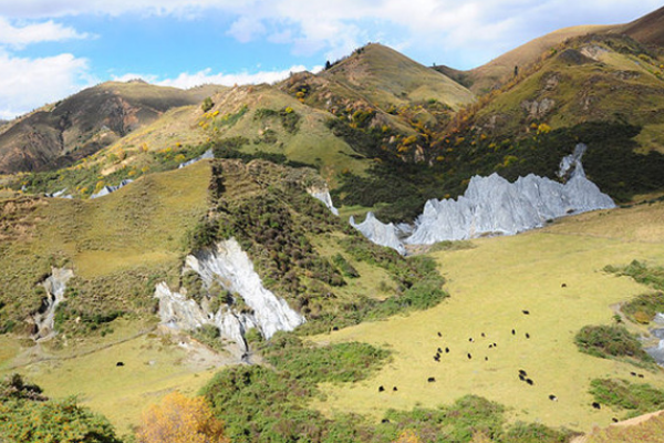 微地貌有哪些类型？岗地、山前斜地的区分？ 麻烦什说的尽量详细些 谢谢