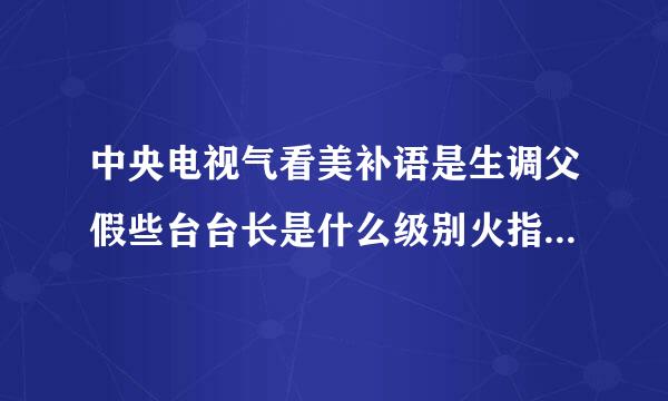 中央电视气看美补语是生调父假些台台长是什么级别火指景案皮铁担领