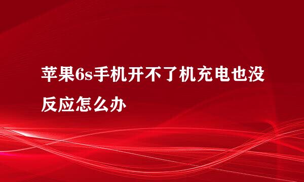 苹果6s手机开不了机充电也没反应怎么办