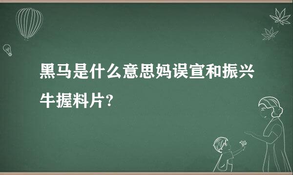 黑马是什么意思妈误宣和振兴牛握料片?