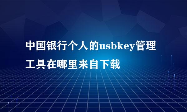 中国银行个人的usbkey管理工具在哪里来自下载