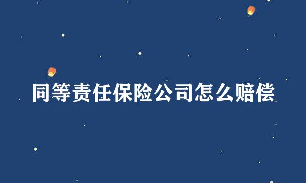 同等责任保险公司怎么赔偿