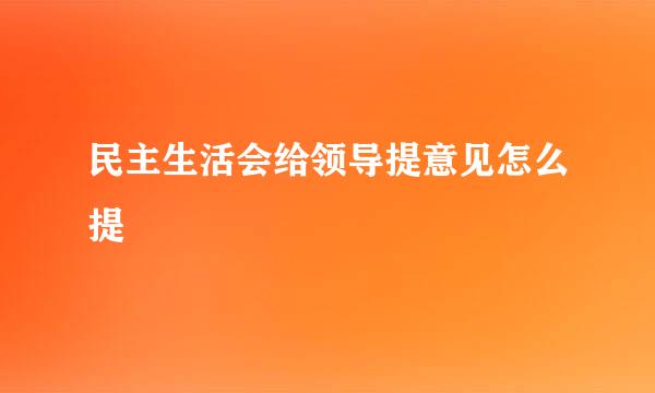 民主生活会给领导提意见怎么提