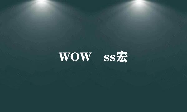 WOW ss宏