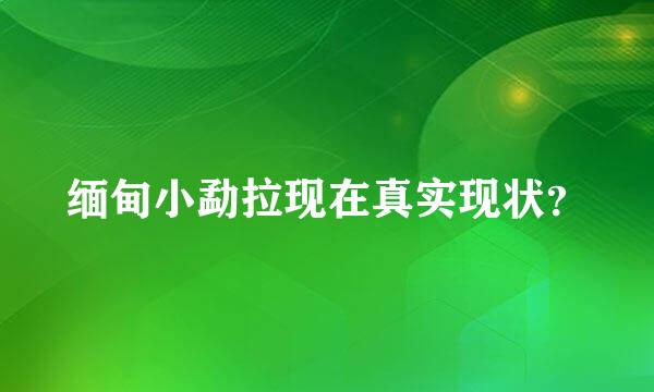 缅甸小勐拉现在真实现状？