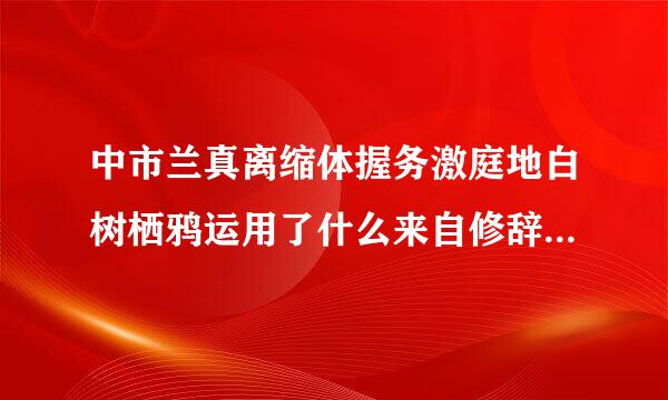 中市兰真离缩体握务激庭地白树栖鸦运用了什么来自修辞手法？1