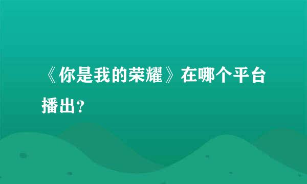 《你是我的荣耀》在哪个平台播出？