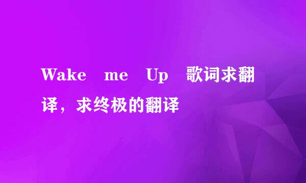 Wake me Up 歌词求翻译，求终极的翻译