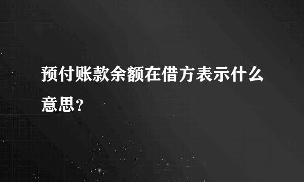 预付账款余额在借方表示什么意思？