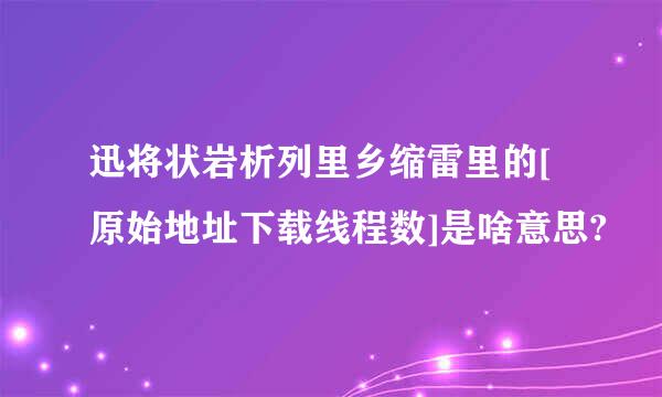 迅将状岩析列里乡缩雷里的[原始地址下载线程数]是啥意思?