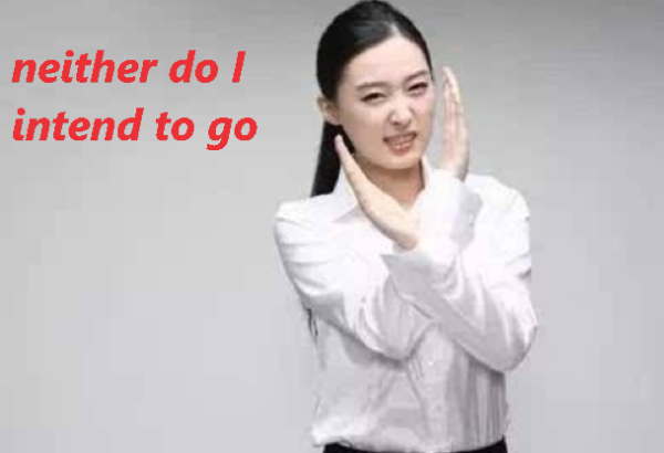 neither do i 和 neither i d来自o 的区别仔细讲讲