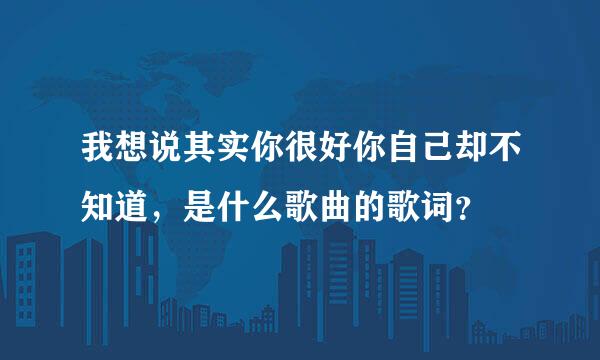 我想说其实你很好你自己却不知道，是什么歌曲的歌词？