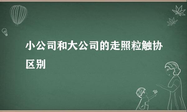 小公司和大公司的走照粒触协区别