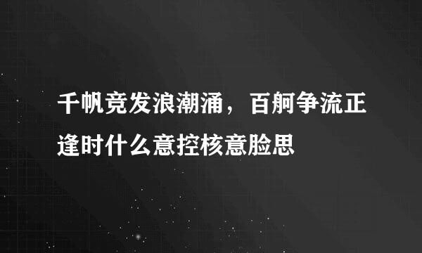 千帆竞发浪潮涌，百舸争流正逢时什么意控核意脸思