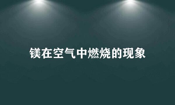 镁在空气中燃烧的现象